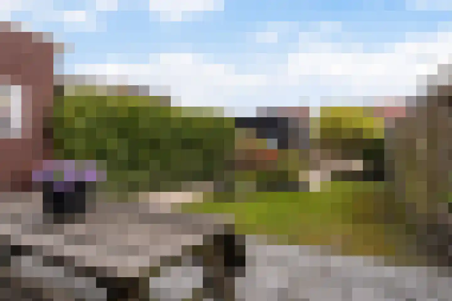 Buorkerij 150 Leeuwarden thumbnail 24