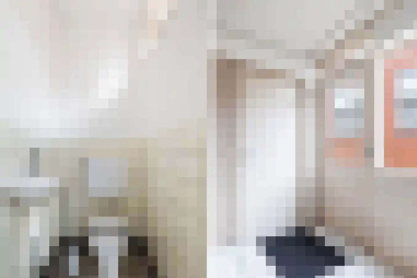 Buorren 1 Berltsum thumbnail 16