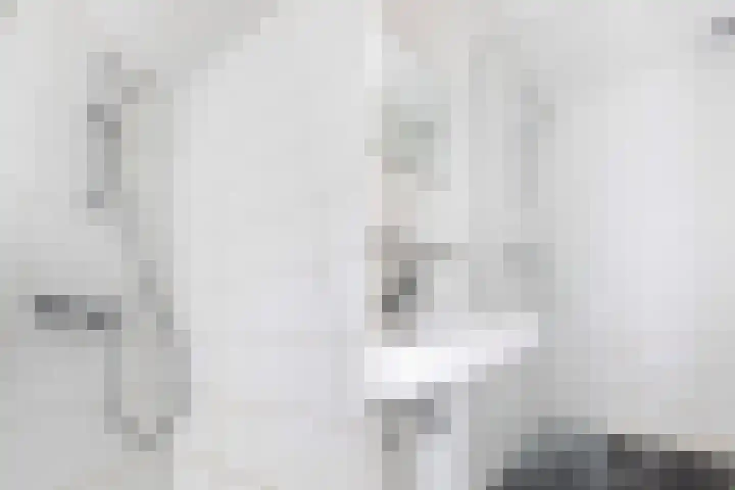 Buorren 1 Berltsum thumbnail 18