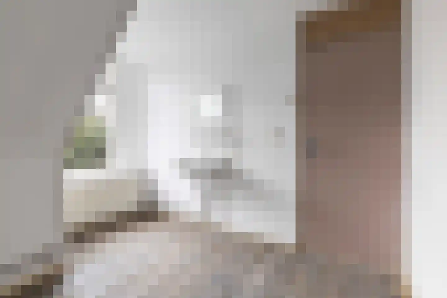 Buorren 1 Berltsum thumbnail 30