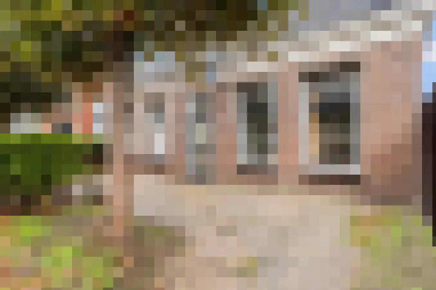 Buorren 1 Berltsum thumbnail 35