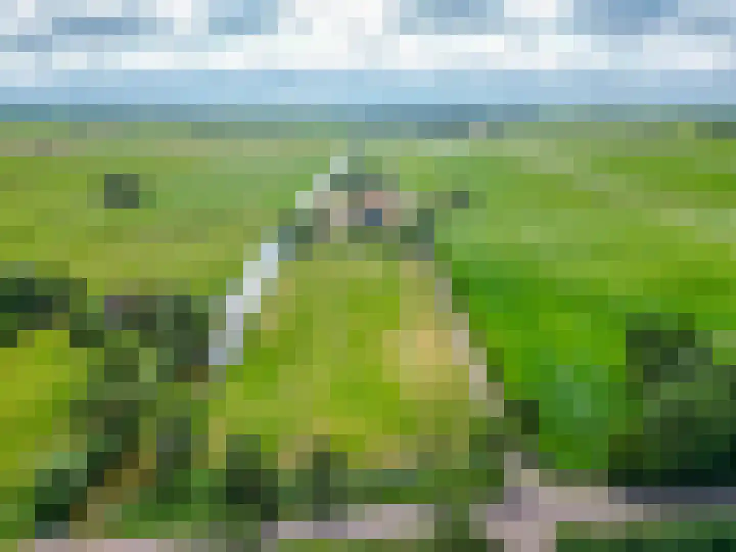 Buorren 1 Tersoal thumbnail 88