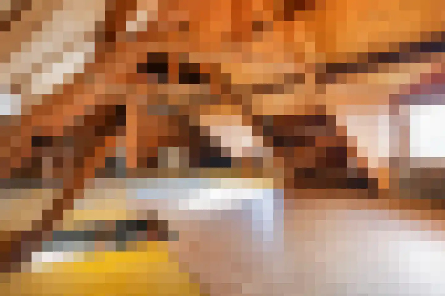 Buorren 10 Terherne thumbnail 47