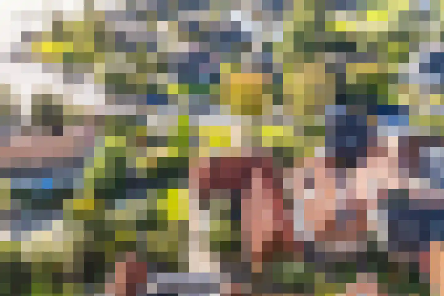 Buorren 10 Terherne thumbnail 48