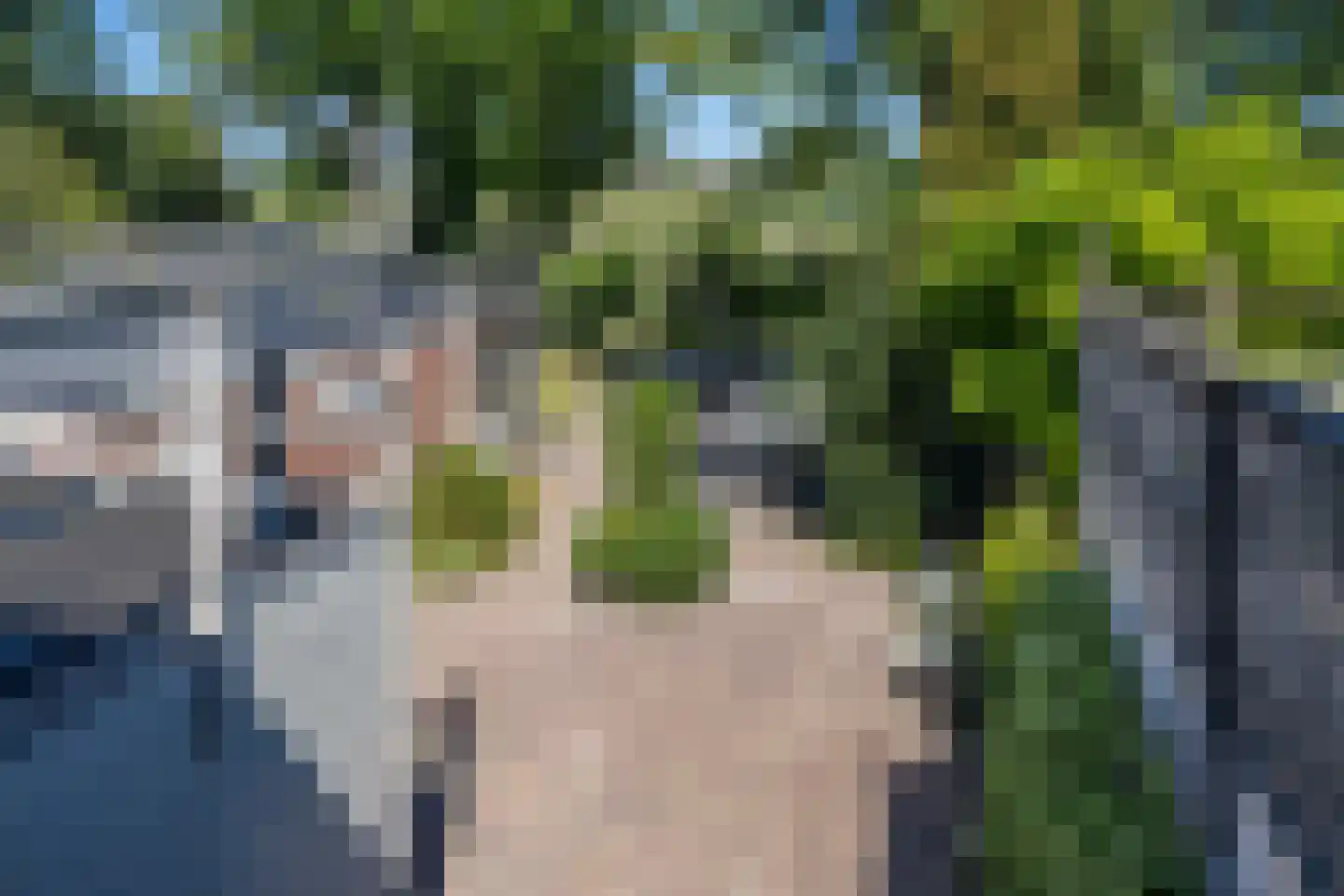 Buorren 11 Goutum thumbnail 36