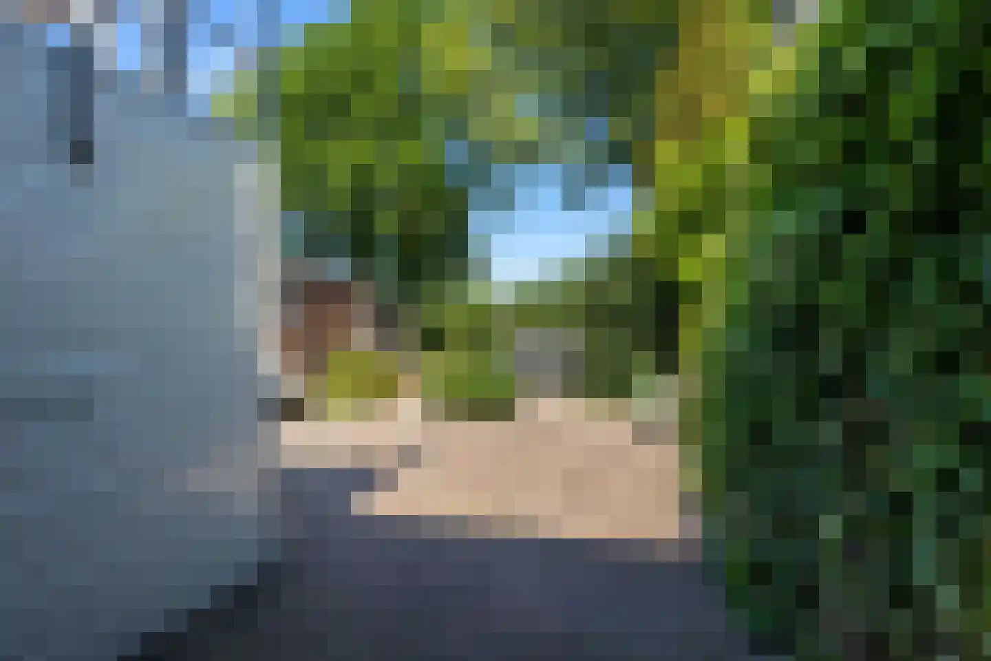 Buorren 11 Goutum thumbnail 42