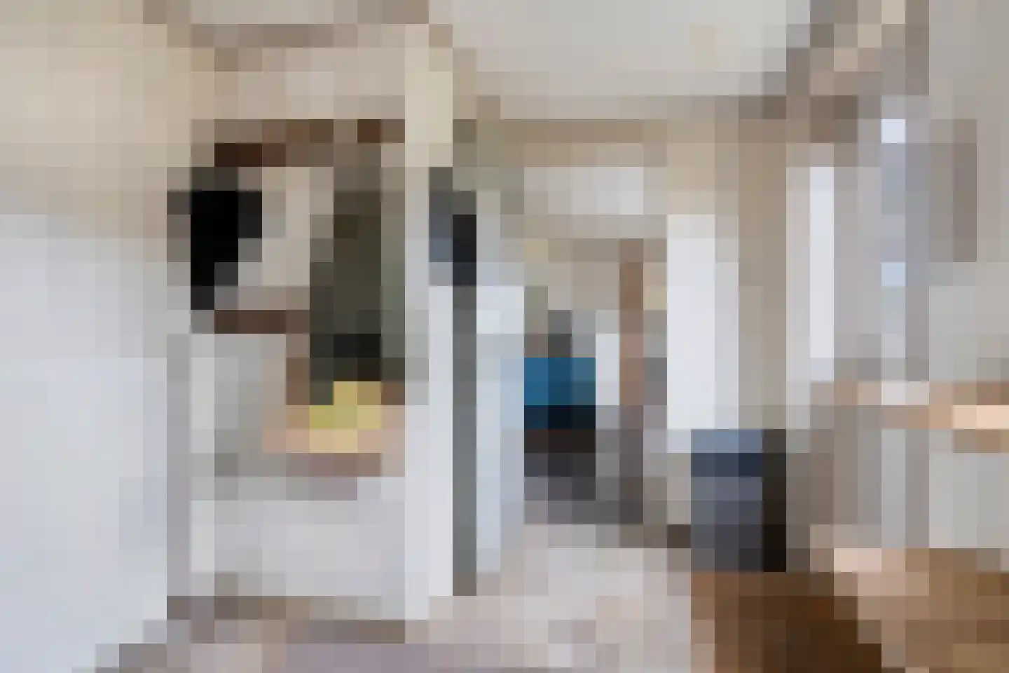 Buorren 12 Boksum thumbnail 11