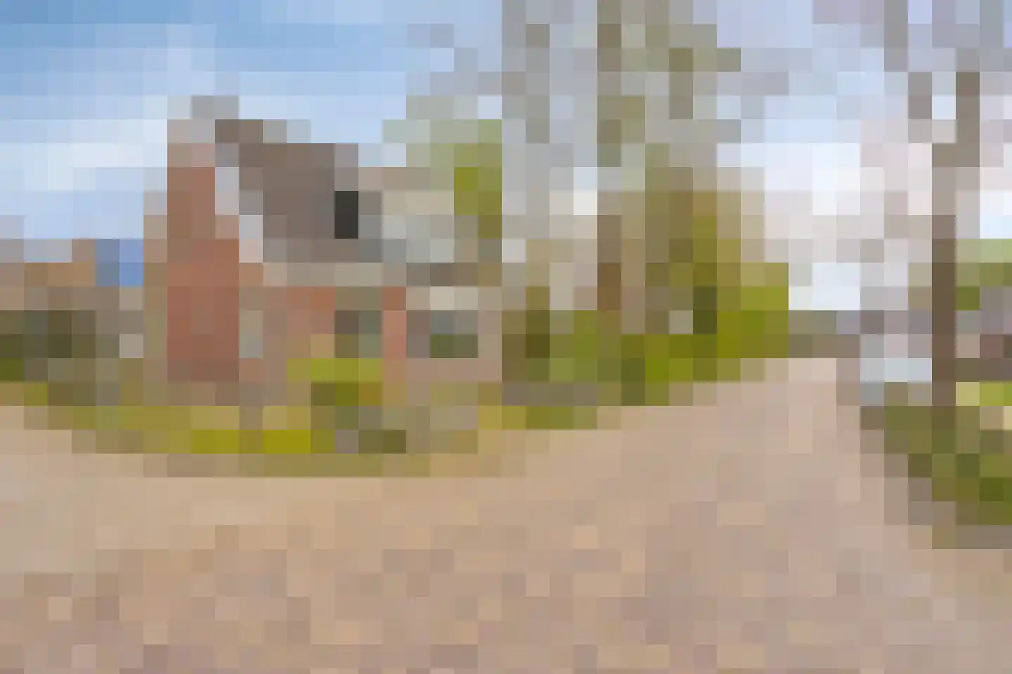 Buorren 12 Boksum thumbnail 35