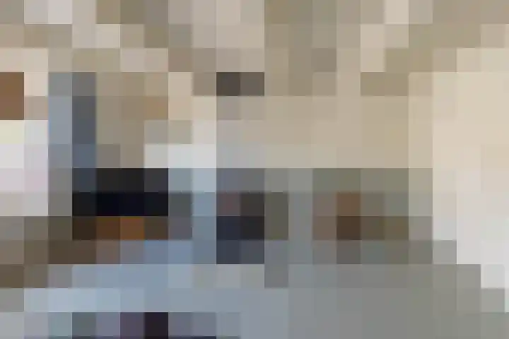 Buorren 12 Oosterbierum thumbnail 12