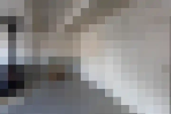 Buorren 12 Oosterbierum thumbnail 13