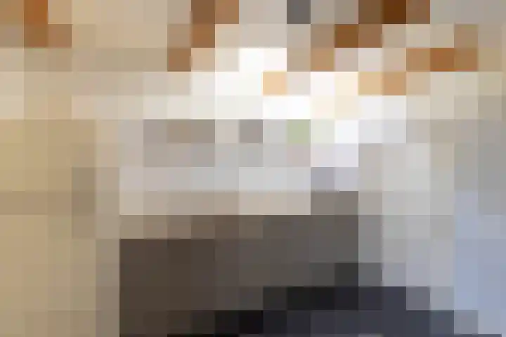 Buorren 12 Oosterbierum thumbnail 20