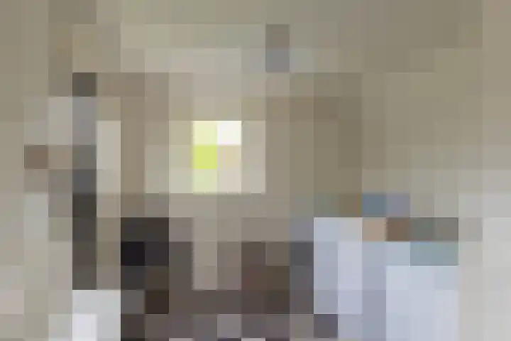 Buorren 12 Oosterbierum thumbnail 22