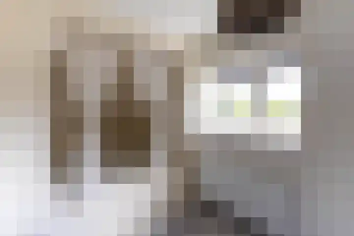 Buorren 12 Oosterbierum thumbnail 28