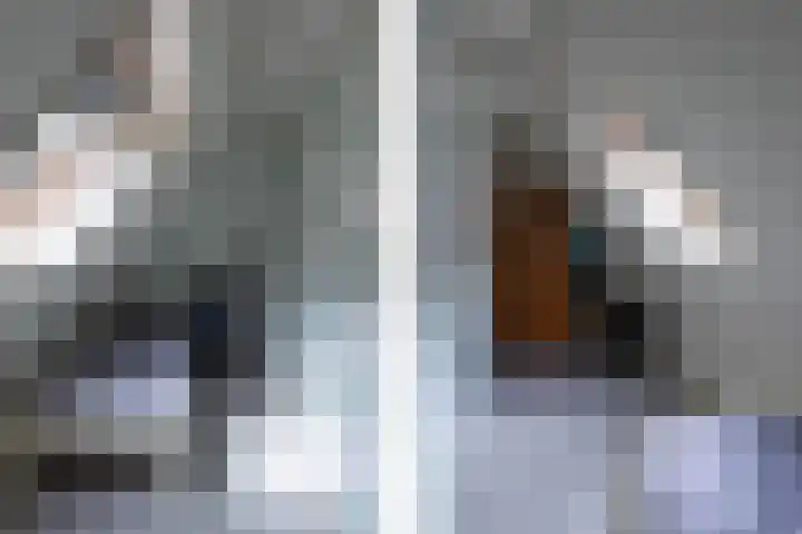Buorren 12 Oosterbierum thumbnail 37