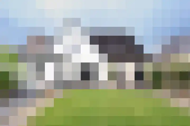 Buorren 12 Oosterbierum thumbnail 38