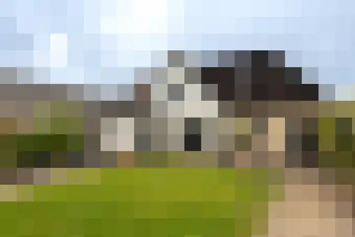 Buorren 12 Oosterbierum thumbnail 39