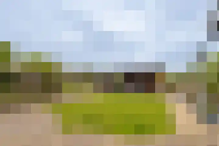 Buorren 12 Oosterbierum thumbnail 40