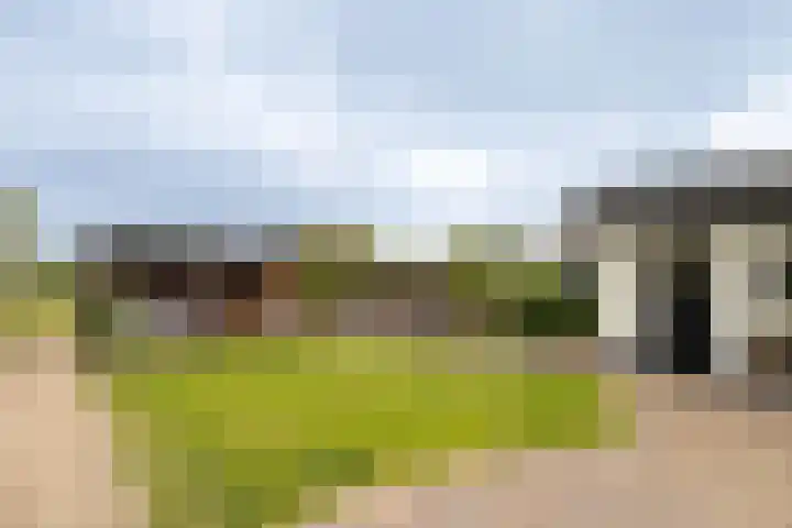 Buorren 12 Oosterbierum thumbnail 41