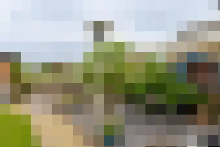 Buorren 12 Oosterbierum thumbnail 42