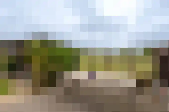 Buorren 12 Oosterbierum thumbnail 43