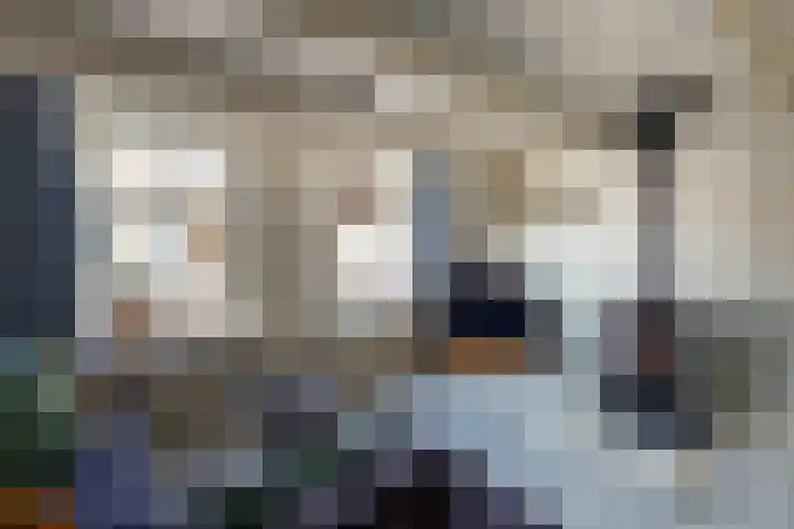 Buorren 12 Oosterbierum thumbnail 8