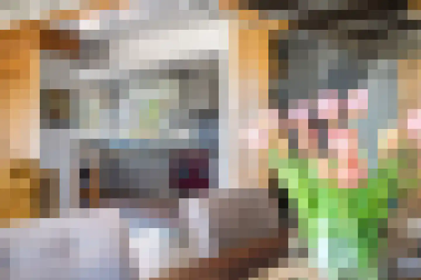 Buorren 12 Warstiens thumbnail 16