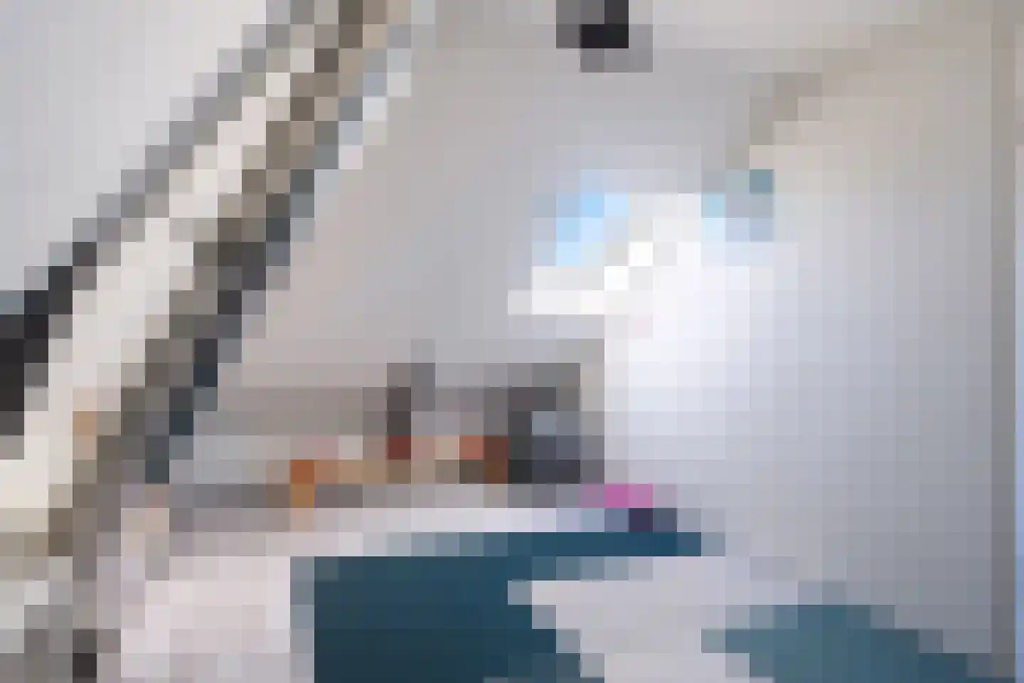 Buorren 12 Warstiens thumbnail 35