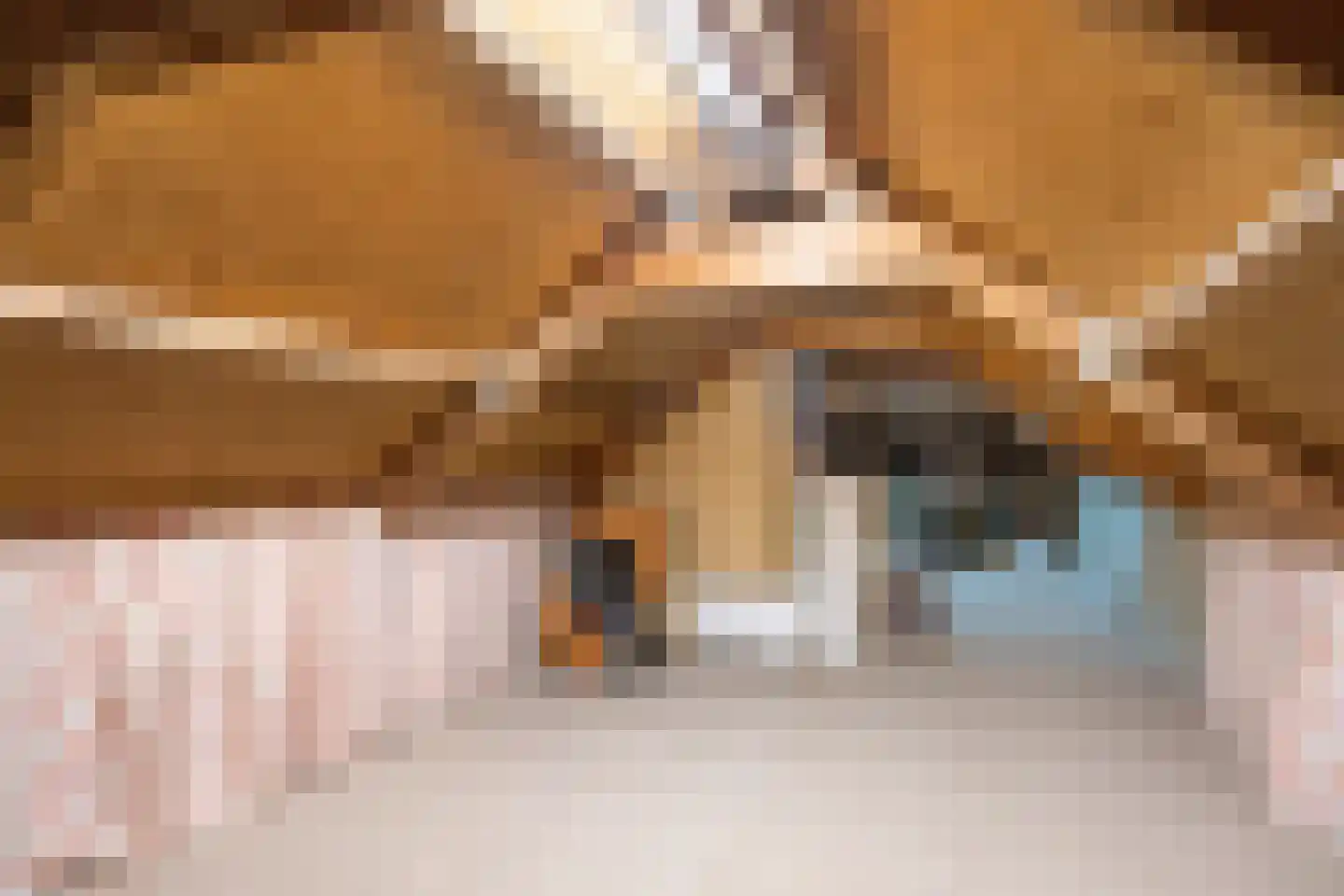 Buorren 12 Warstiens thumbnail 44
