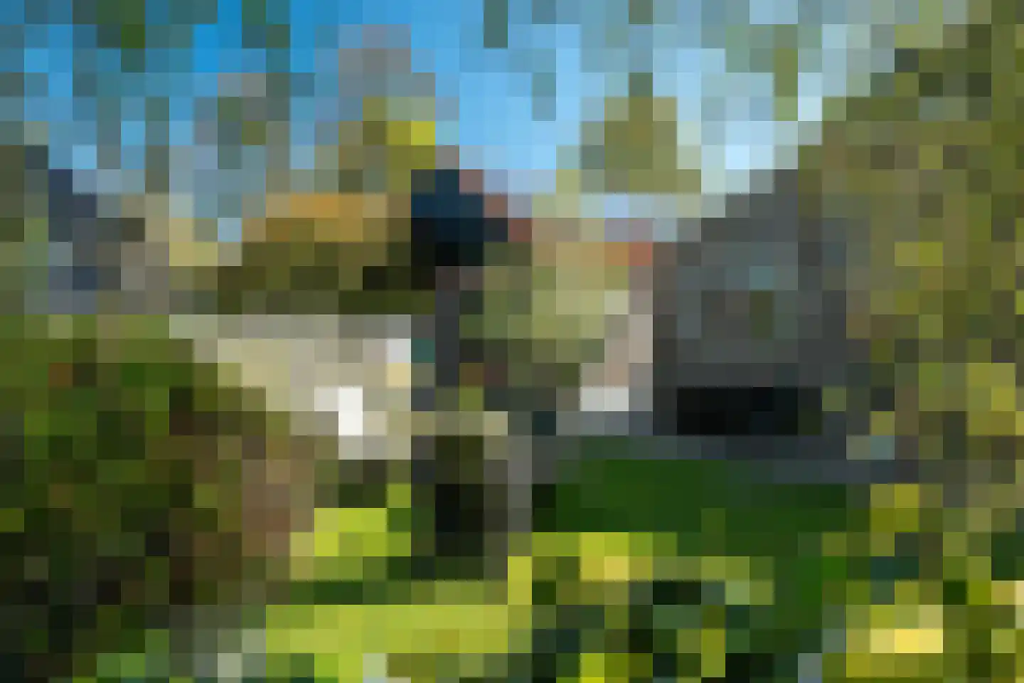 Buorren 12 Warstiens thumbnail 46
