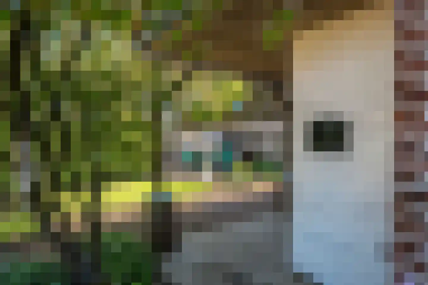 Buorren 12 Warstiens thumbnail 52
