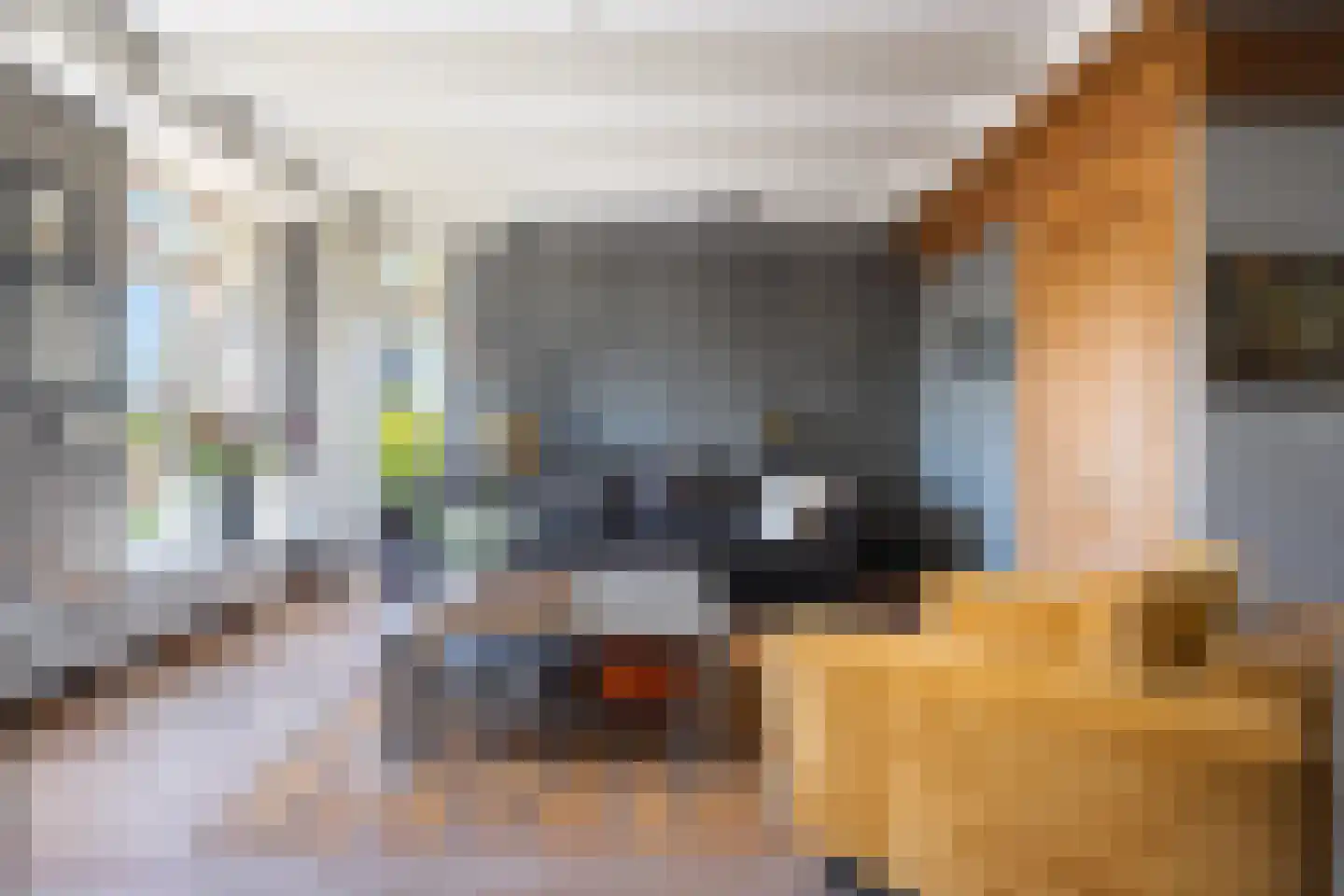 Buorren 12 Warstiens thumbnail 9