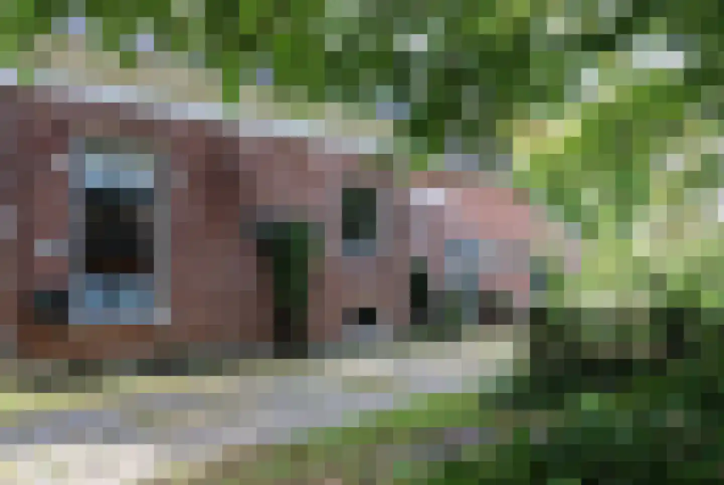 Buorren 13 Blessum thumbnail 10