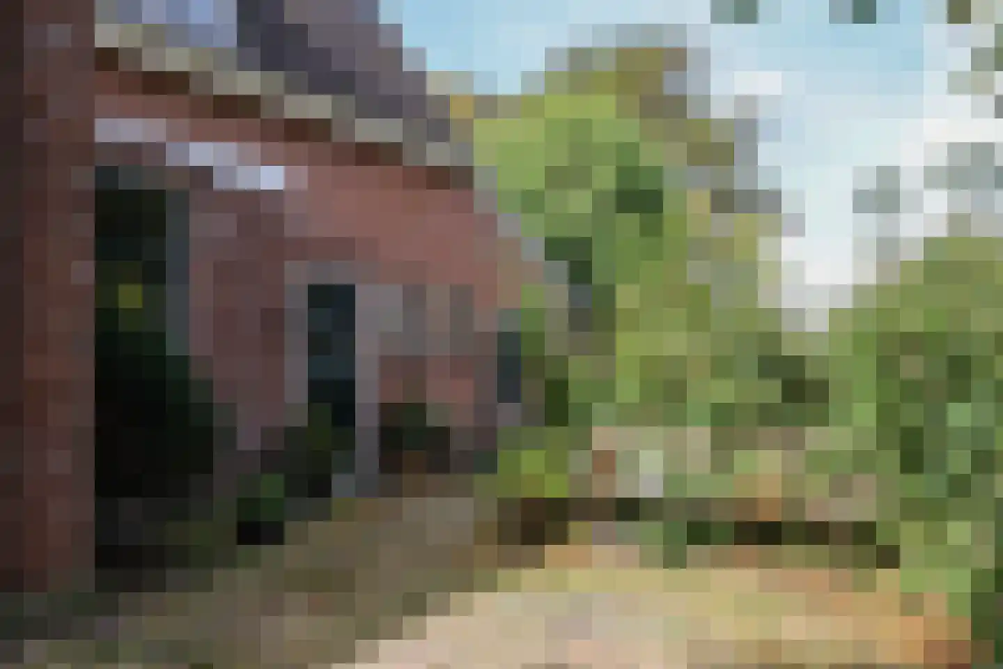 Buorren 13 Blessum thumbnail 11
