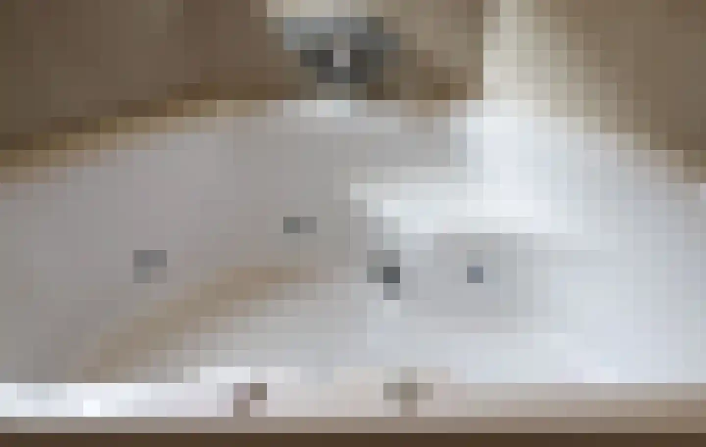 Buorren 13 Blessum thumbnail 42
