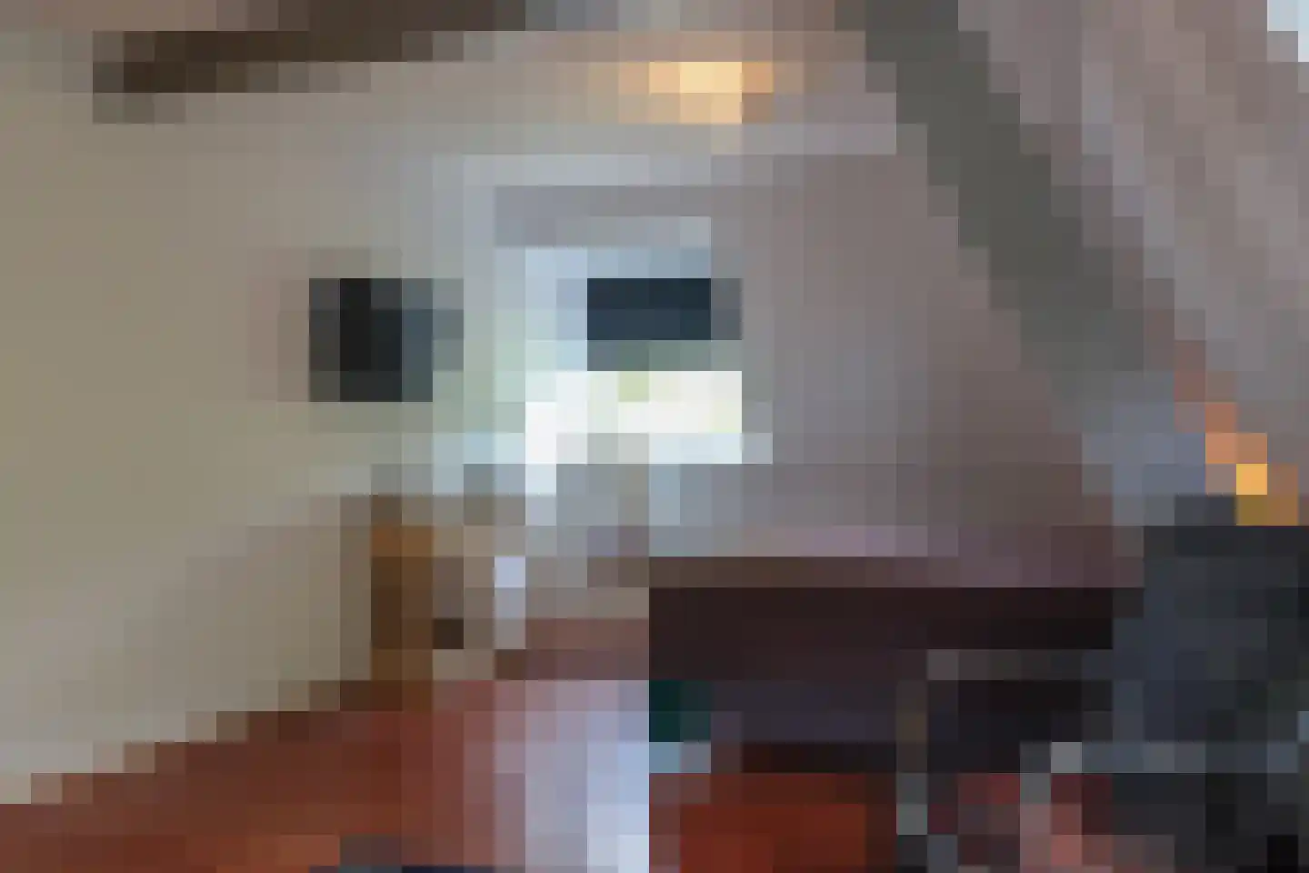 Buorren 13 Blessum thumbnail 51