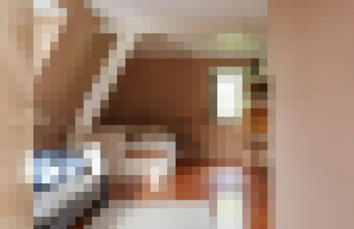 Buorren 13 Blessum thumbnail 54