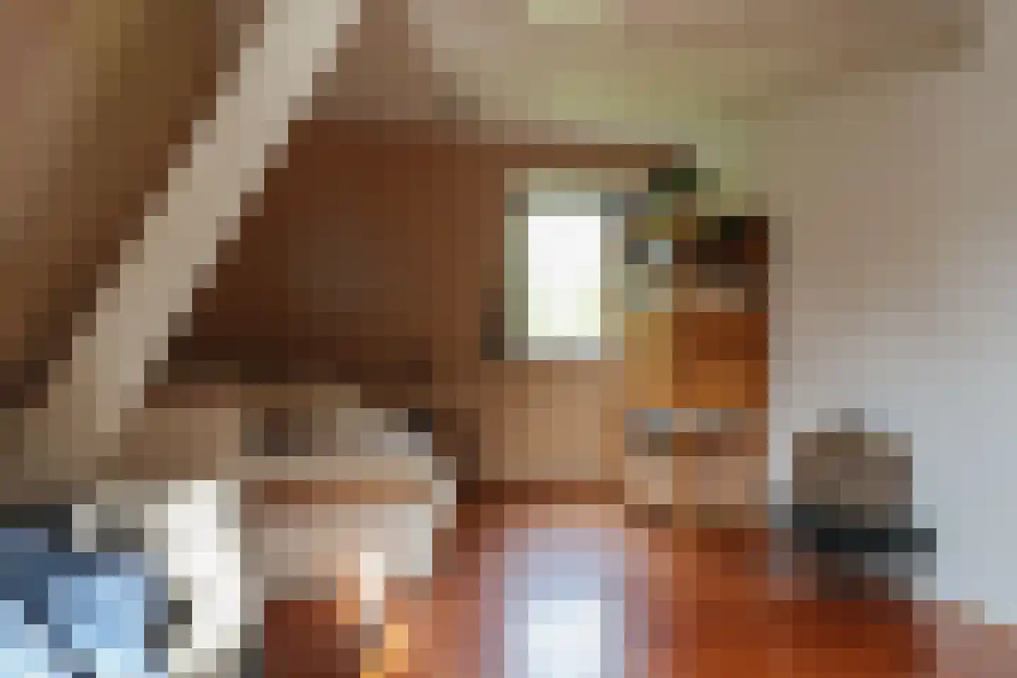 Buorren 13 Blessum thumbnail 55