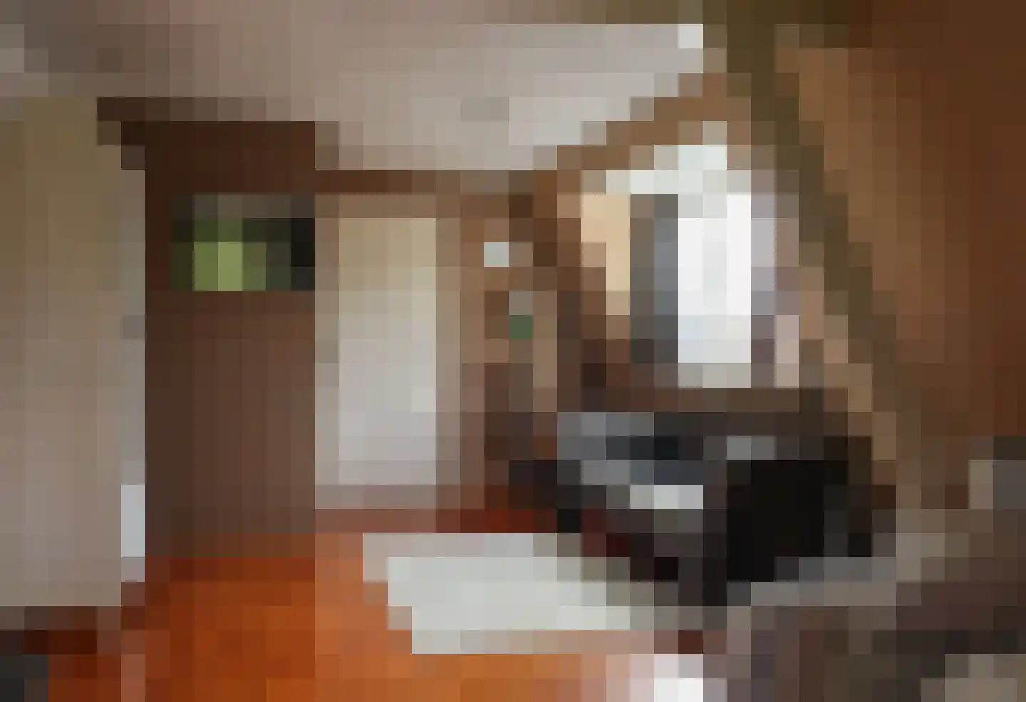 Buorren 13 Blessum thumbnail 56