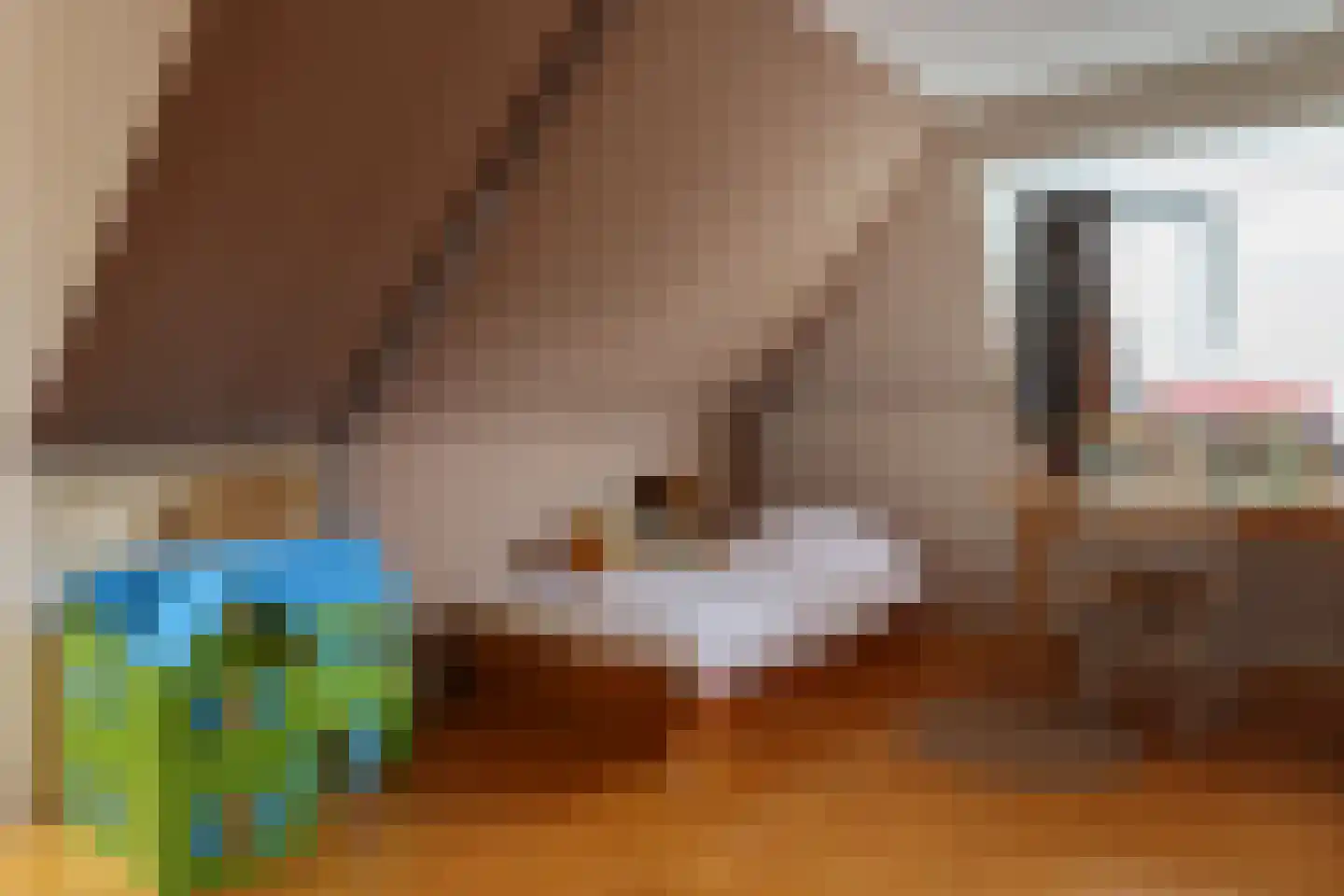 Buorren 13 Blessum thumbnail 58