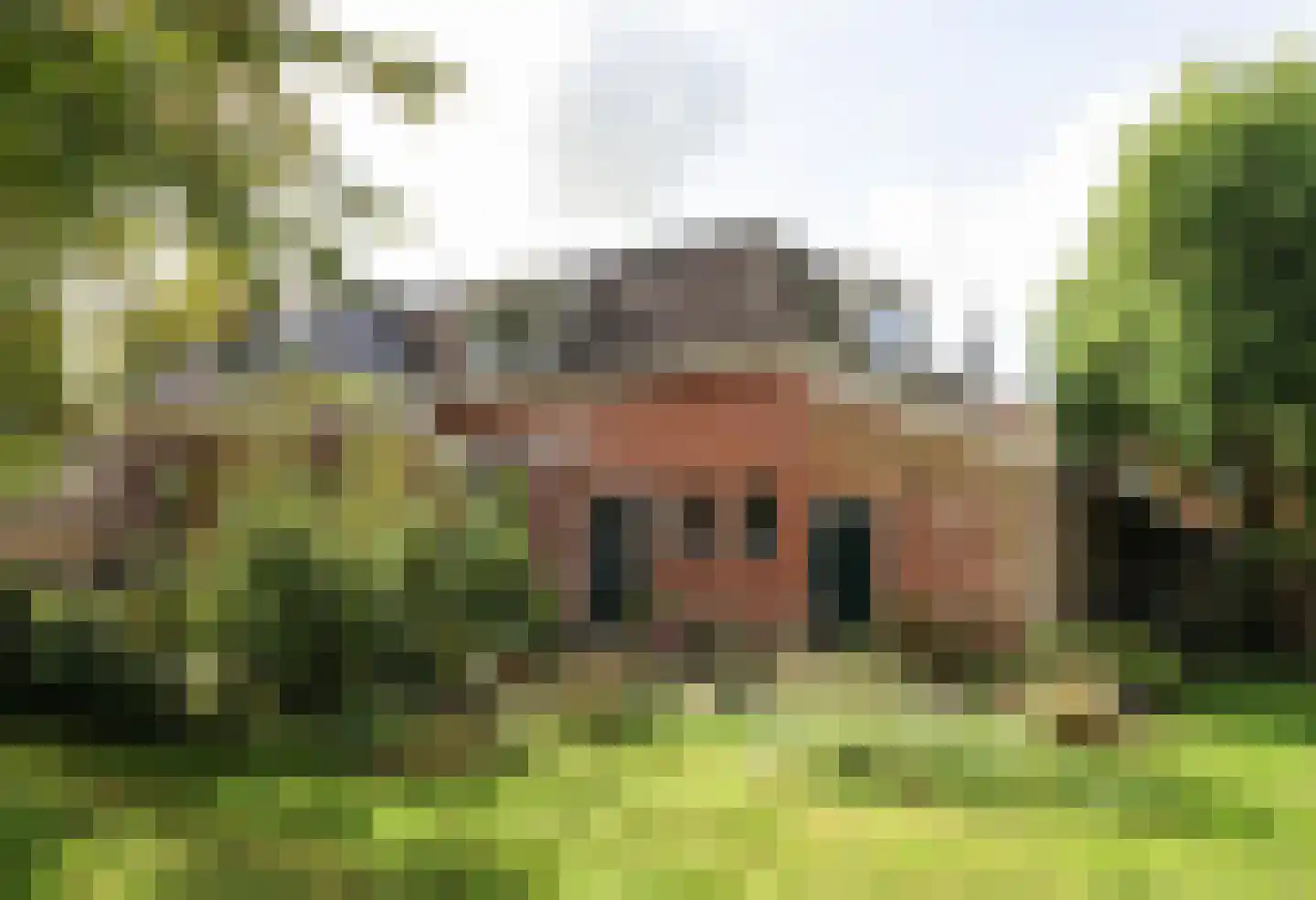 Buorren 13 Blessum thumbnail 63