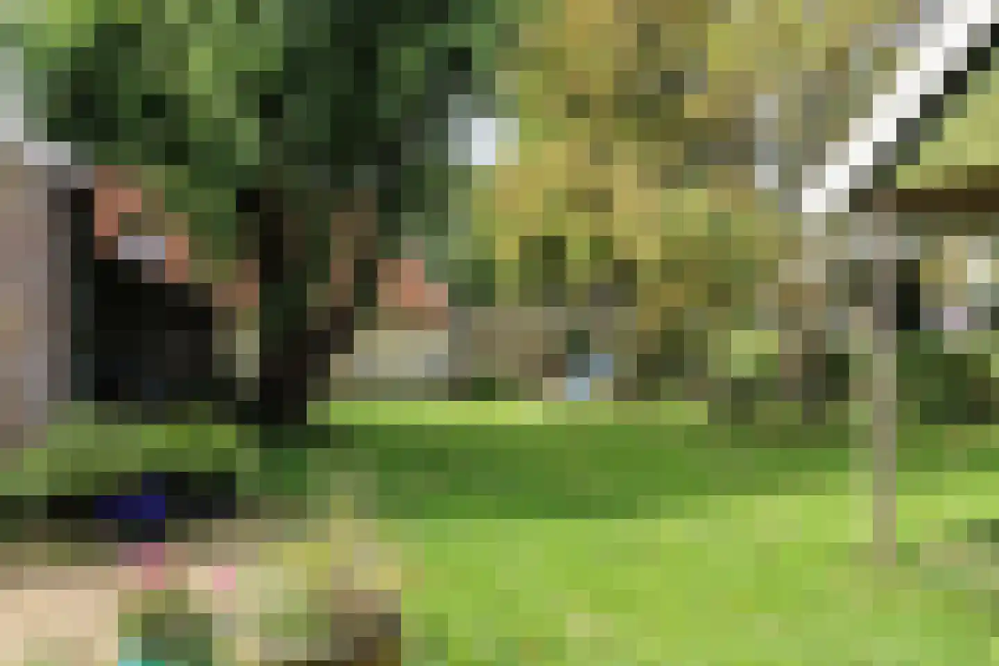 Buorren 13 Blessum thumbnail 64