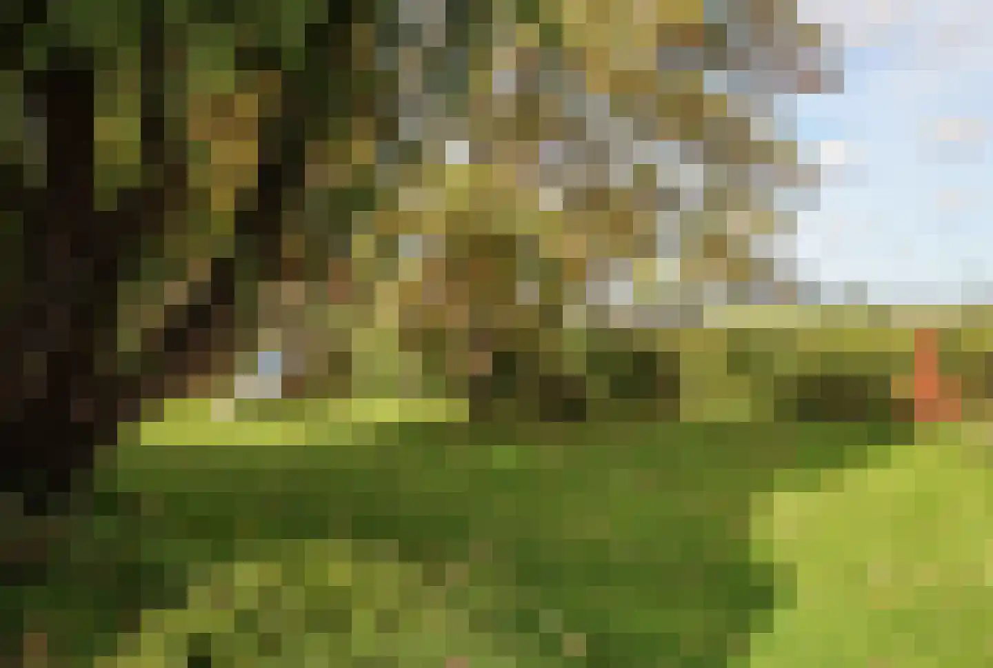 Buorren 13 Blessum thumbnail 65