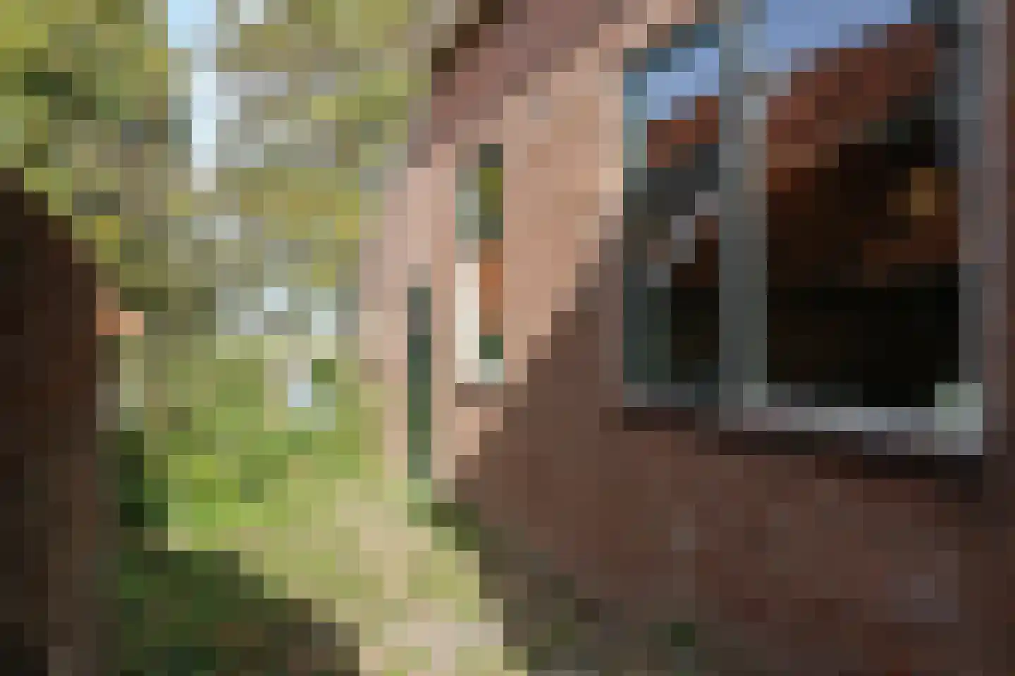 Buorren 13 Blessum thumbnail 66