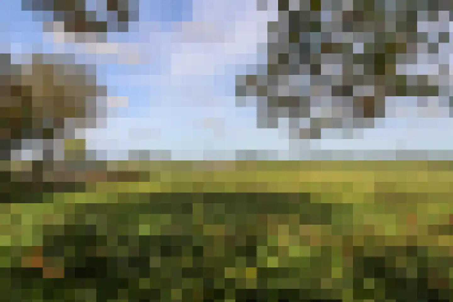 Buorren 13 Blessum thumbnail 68