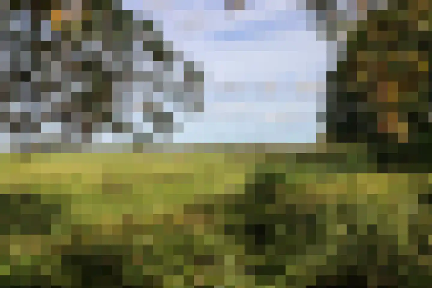 Buorren 13 Blessum thumbnail 69
