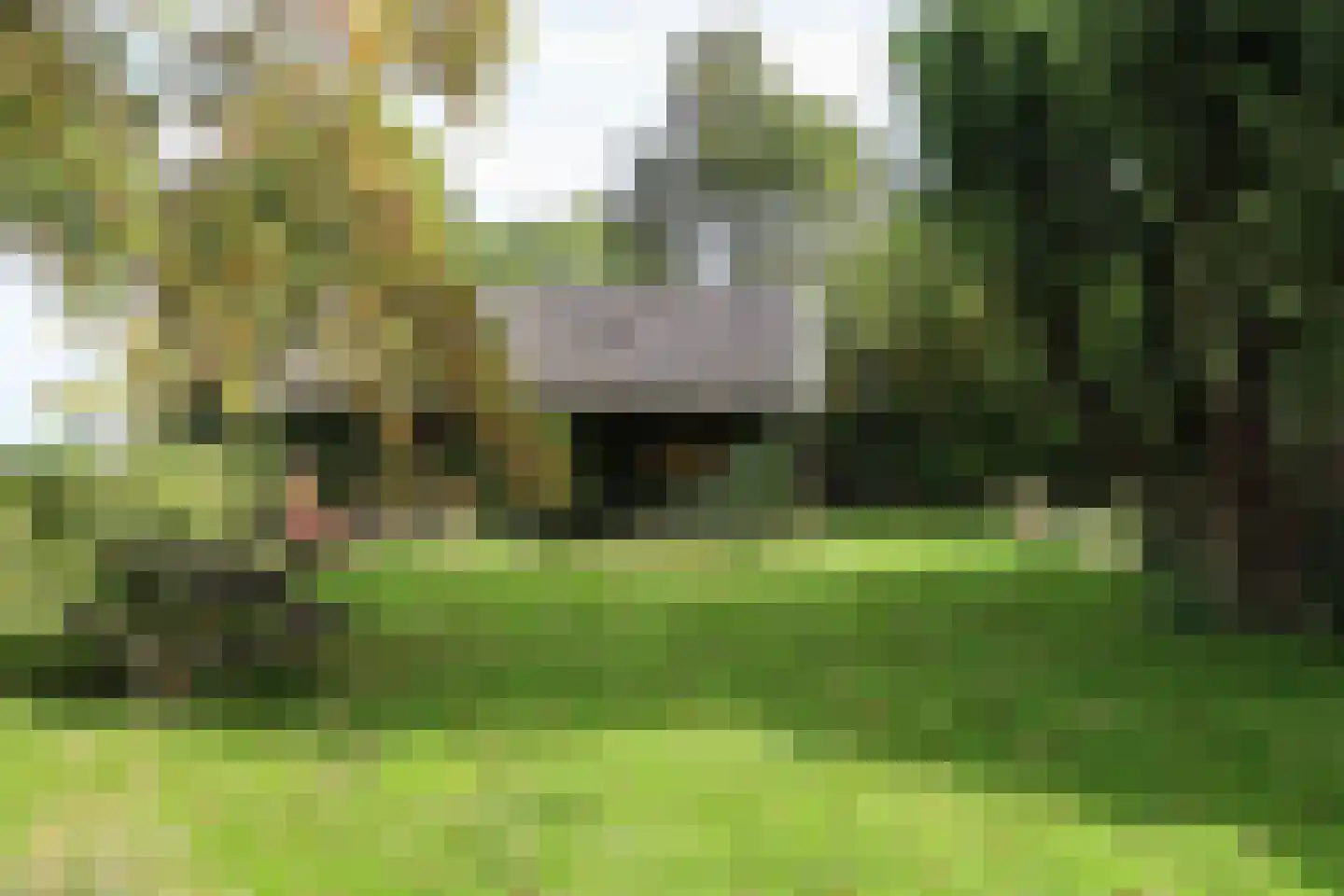 Buorren 13 Blessum thumbnail 70