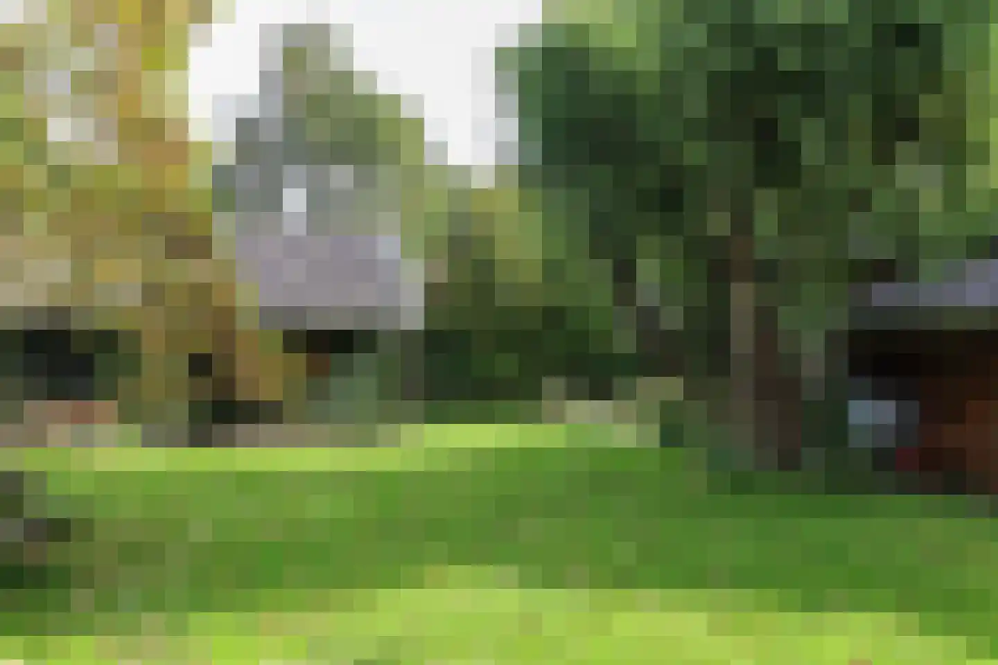 Buorren 13 Blessum thumbnail 71