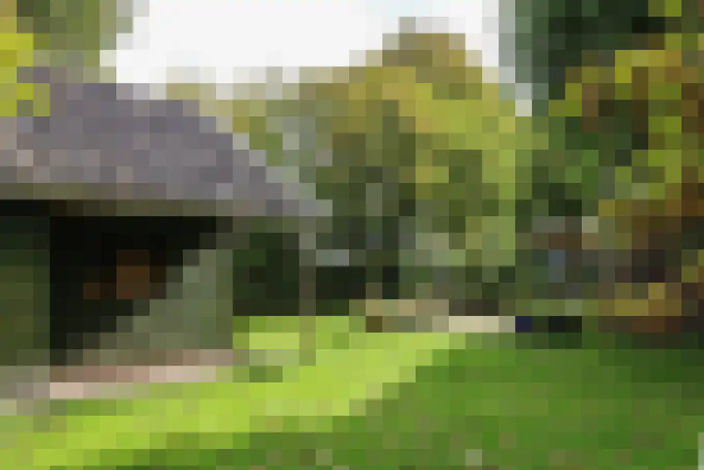 Buorren 13 Blessum thumbnail 72