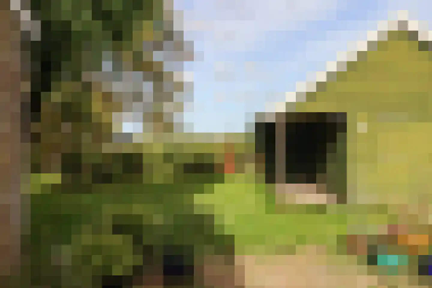Buorren 13 Blessum thumbnail 73