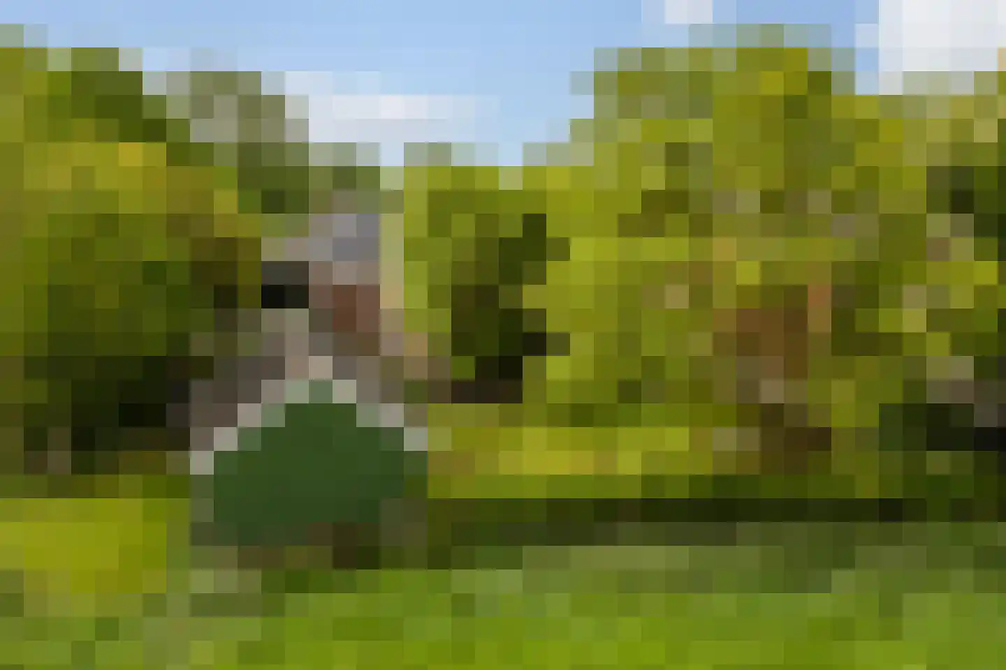Buorren 13 Blessum thumbnail 74